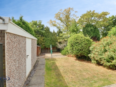 Picture 17